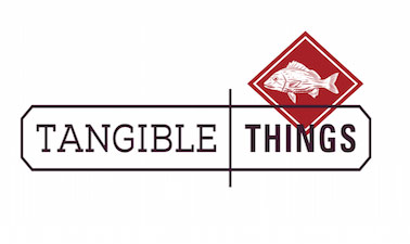 Tangible Things: Discovering History Through Artworks, Artifacts, Scientific Specimens, and the Stuff Around You USW30x